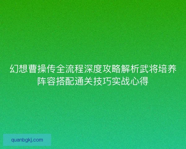 幻想曹操传全流程深度攻略解析武将培养阵容搭配通关技巧实战心得